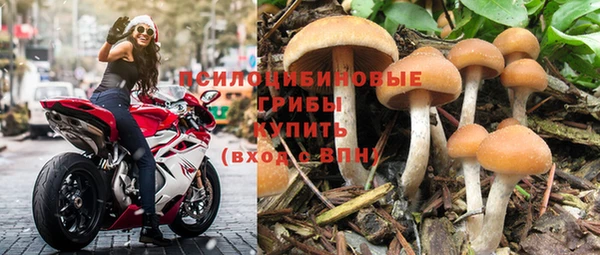 дурь Горняк